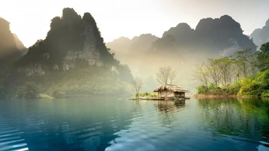 绿色全自动稳定性